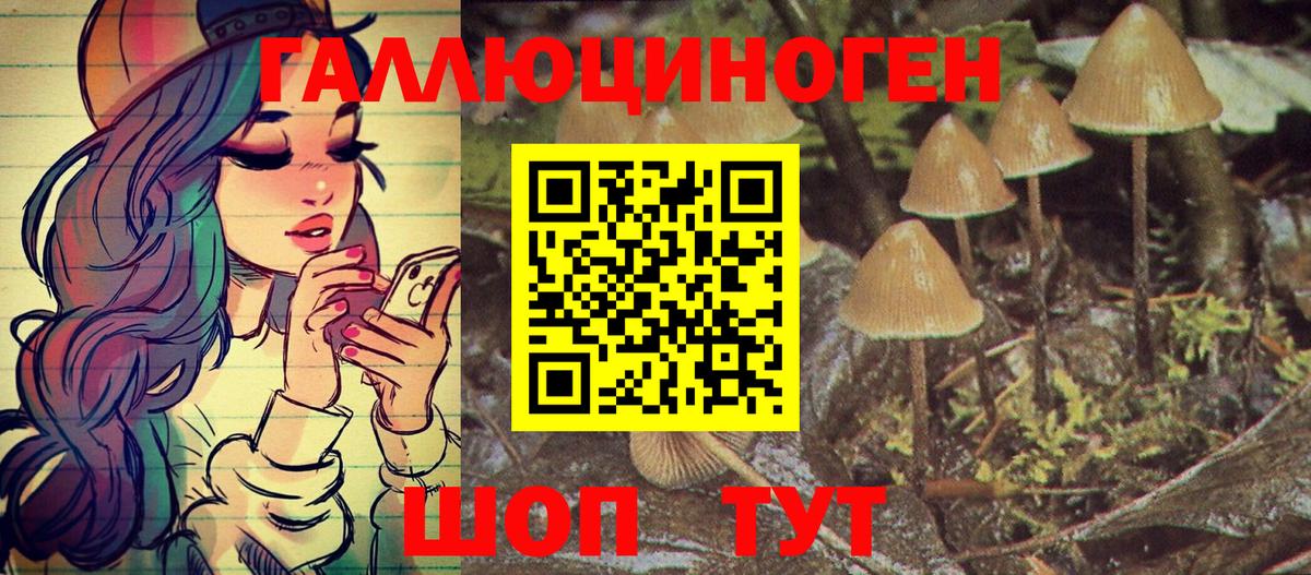 Галлюциногенные грибы Magic Shrooms Урус-Мартан